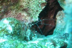 IMG_2076-.Medium
