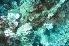 IMG_2077-.Medium