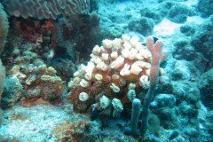 IMG_2085-.Medium