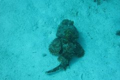 IMG_2088-.Medium