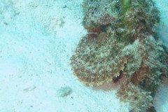 IMG_2089-.Medium