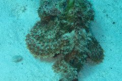 IMG_2090-.Medium