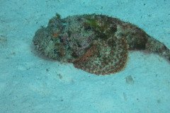 IMG_2091-.Medium
