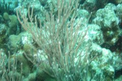 IMG_2094-.Medium