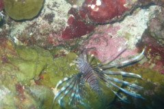 IMG_2098-.Medium