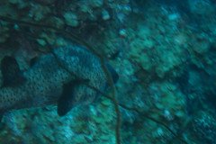 IMG_2101-.Medium