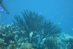 IMG_2103-.Medium
