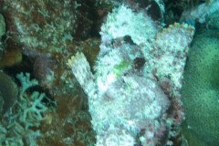 IMG_2105-.Medium
