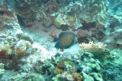 IMG_2106-.Medium