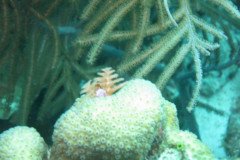 IMG_2107-.Medium