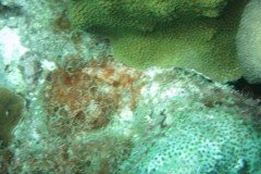 IMG_2110-.Medium