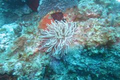 IMG_2112-.Medium