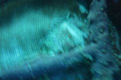 IMG_2113-.Medium