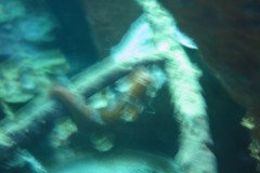 IMG_2114-.Medium