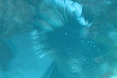IMG_2117-.Medium