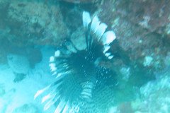 IMG_2118-.Medium