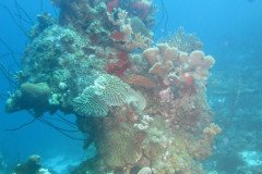 IMG_2119-.Medium