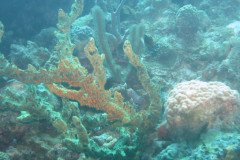IMG_2120-.Medium