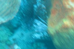 IMG_2121-.Medium