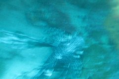 IMG_2122-.Medium