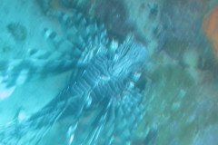 IMG_2123-.Medium