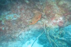IMG_2127-.Medium