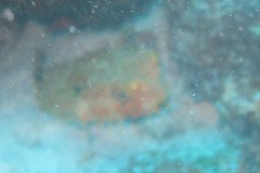 IMG_2128-.Medium