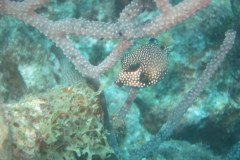 IMG_2133-.Medium