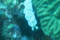 IMG_2134-.Medium