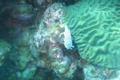 IMG_2135-.Medium
