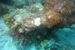 IMG_2138-.Medium
