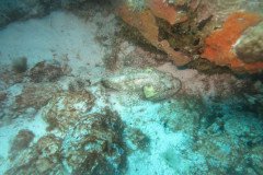 IMG_2140-.Medium