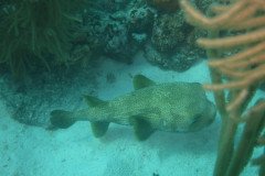 IMG_2141-.Medium