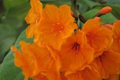 IMG_2148-.Medium