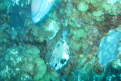 IMG_2155-.Medium