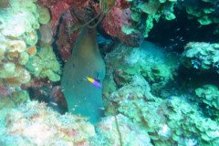IMG_2157-.Medium