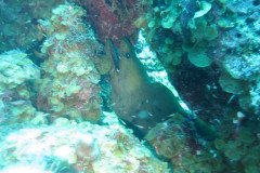 IMG_2158-.Medium