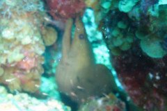 IMG_2159-.Medium