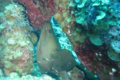 IMG_2160-.Medium