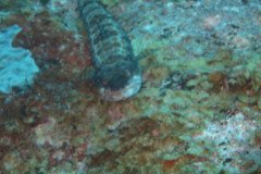 IMG_2161-.Medium