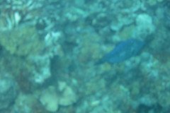 IMG_2166-.Medium
