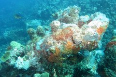 IMG_2167-.Medium