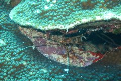 IMG_2182-.Medium