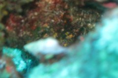IMG_2187-.Medium