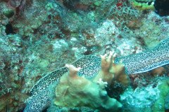 IMG_2190-.Medium