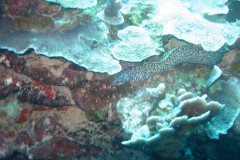 IMG_2192-.Medium