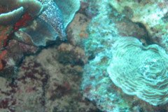 IMG_2193-.Medium
