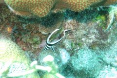 IMG_2196-.Medium