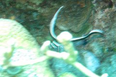 IMG_2197-.Medium