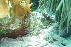 IMG_2202-.Medium
